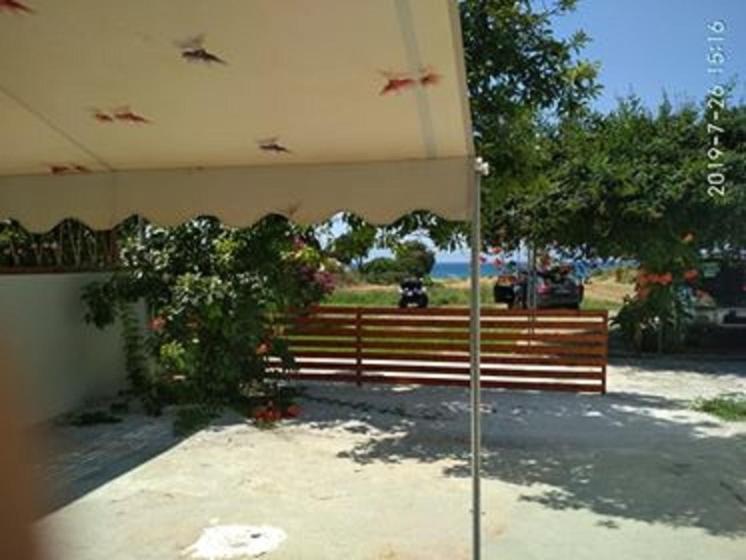 Kitesurf Paradise Studios Theológos Eksteriør bilde